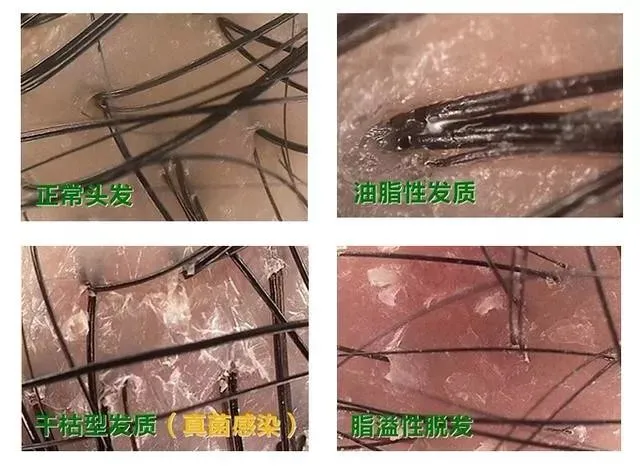 微信图片_202003182104012