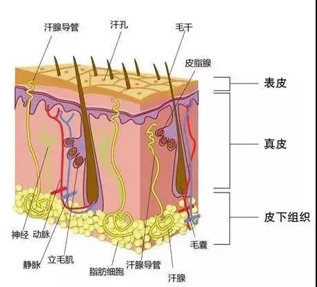 微信图片_202003252131201