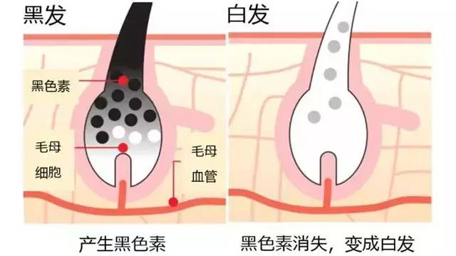 微信图片_202003302124162