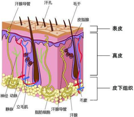 微信图片_20200818160929