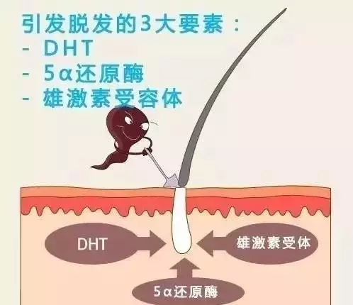 微信图片_20201029135147