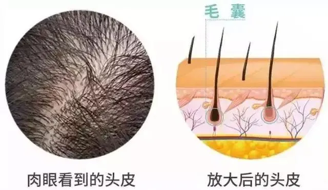 微信图片_202004130937084
