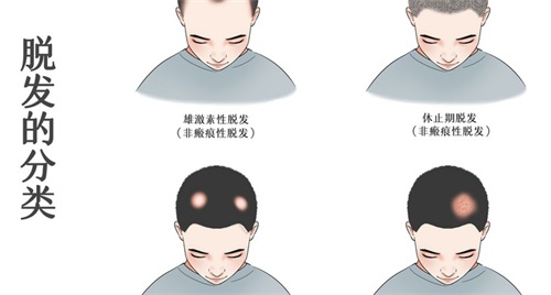 wdjtj_看图王