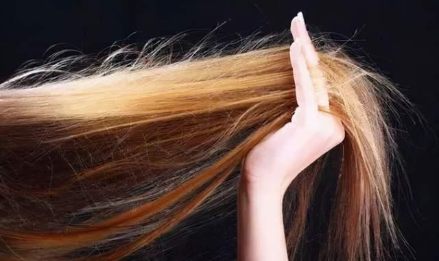 春季掉发之谜：揭秘头发的新陈代谢与养护